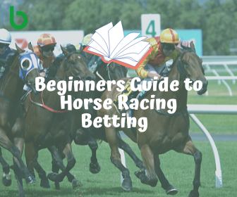 Beginners Guide to Horse Racing Betting